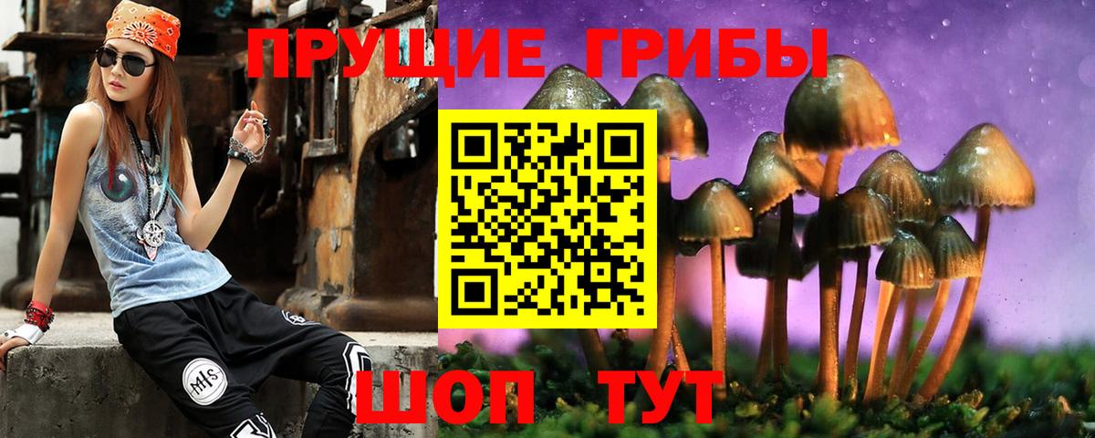 Псилоцибиновые грибы Cubensis Пенза